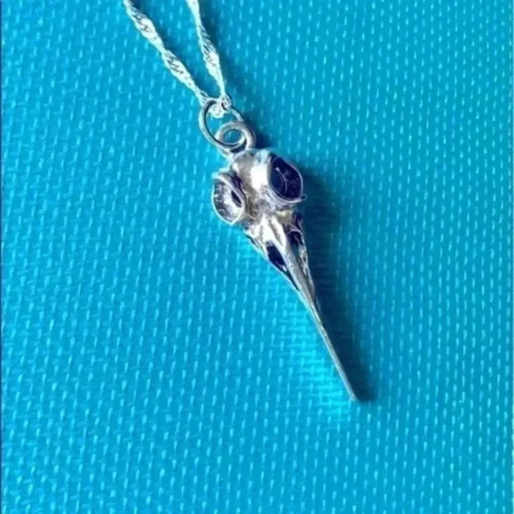 Silver Raven Crow Bird Skeleton Skull Goth Punk Emo Dark Necklace New NWT - Picture 1 of 1